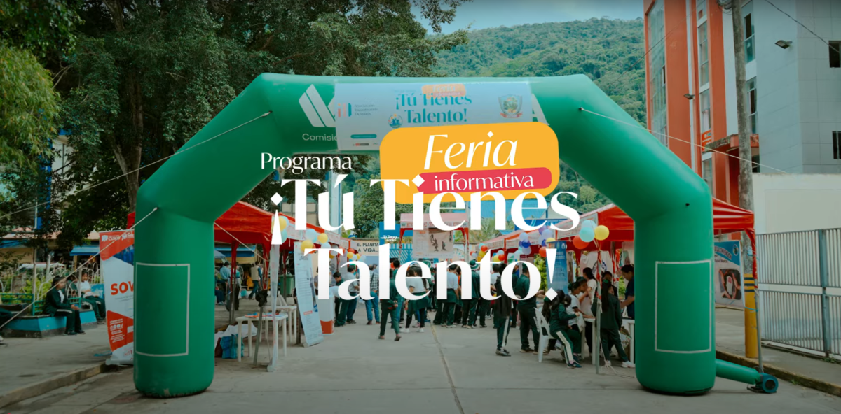 imagen de la publicacion